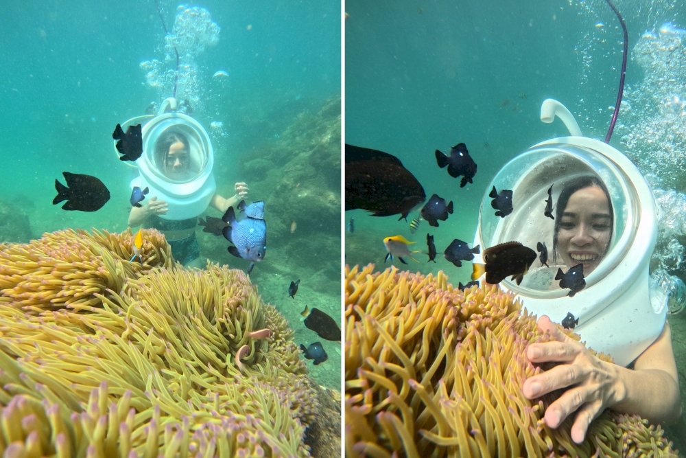 Hon Kho offers one of the best snorkeling experiences for getting closer to the vibrant coral reefs